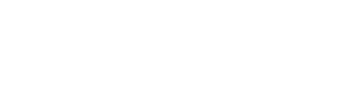 LA INFILTRADA